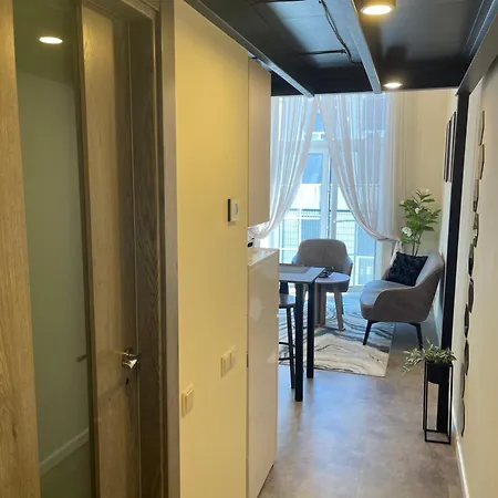 Apartment Mini Loft *
