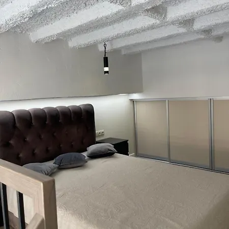 Mini Loft Apartment Kaunas