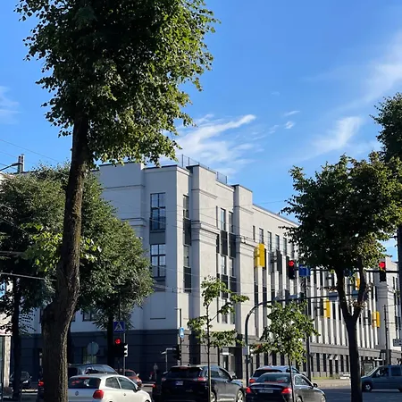 Mini Loft Διαμέρισμα Κάουνας